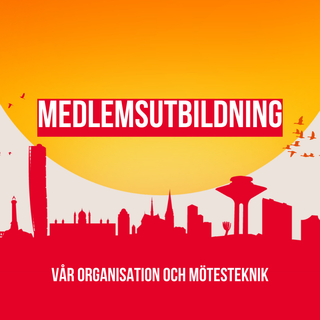 Vår organisation och mötesteknik